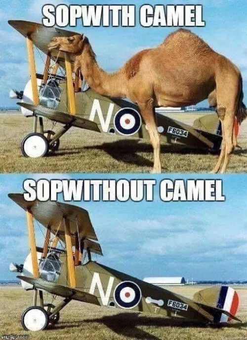 Where’s Snoopy? | image tagged in snoopy,sopwith,camel,dad joke | made w/ Imgflip meme maker