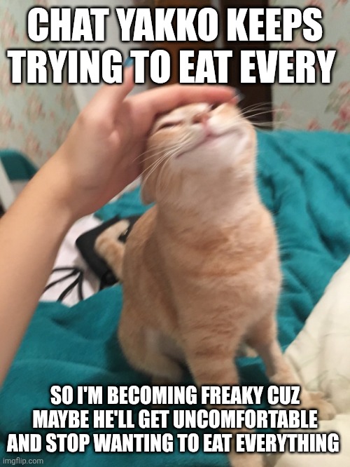 ... now how does one be freaky... | CHAT YAKKO KEEPS TRYING TO EAT EVERY; SO I'M BECOMING FREAKY CUZ MAYBE HE'LL GET UNCOMFORTABLE AND STOP WANTING TO EAT EVERYTHING | image tagged in cat pat | made w/ Imgflip meme maker