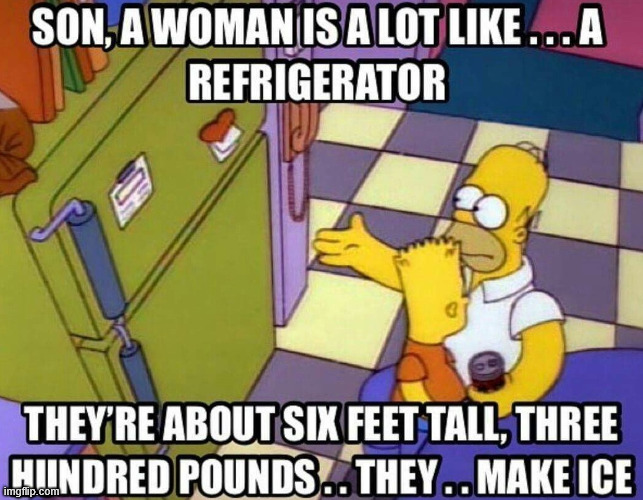 Like a Fridge | image tagged in the simpsons,memes,funny,lattice climbing,climbing,food | made w/ Imgflip meme maker