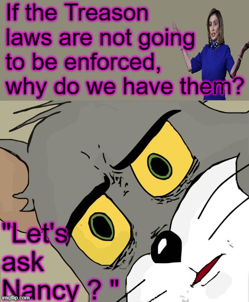 Start the Arrests now, ship um to GITMO let the military tribunals begin | If the Treason laws are not going to be enforced, why do we have them? "Let's ask Nancy ? " | image tagged in memes,unsettled tom | made w/ Imgflip meme maker