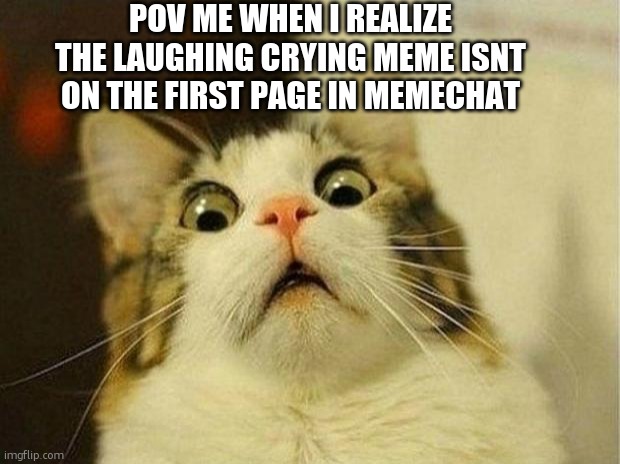 its verry scad | POV ME WHEN I REALIZE THE LAUGHING CRYING MEME ISNT ON THE FIRST PAGE IN MEMECHAT | image tagged in memes,scared cat | made w/ Imgflip meme maker