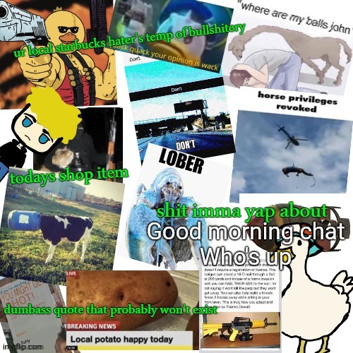 Probably gonna sleep soon | Good morning chat
Who's up | image tagged in temp of bullshitery | made w/ Imgflip meme maker