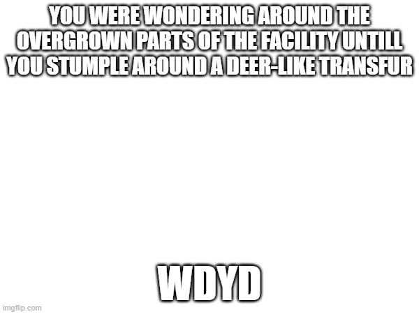 rp | YOU WERE WONDERING AROUND THE OVERGROWN PARTS OF THE FACILITY UNTILL YOU STUMPLE AROUND A DEER-LIKE TRANSFUR; WDYD | made w/ Imgflip meme maker