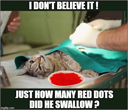 Emergency Surgery Was Necessary ! | I DON'T BELIEVE IT ! JUST HOW MANY RED DOTS
DID HE SWALLOW ? | image tagged in cats,red dot,surgery | made w/ Imgflip meme maker