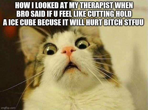 that isnt how it works for me lol | HOW I LOOKED AT MY THERAPIST WHEN BRO SAID IF U FEEL LIKE CUTTING HOLD A ICE CUBE BECUSE IT WILL HURT BITCH STFUU | image tagged in memes,scared cat | made w/ Imgflip meme maker