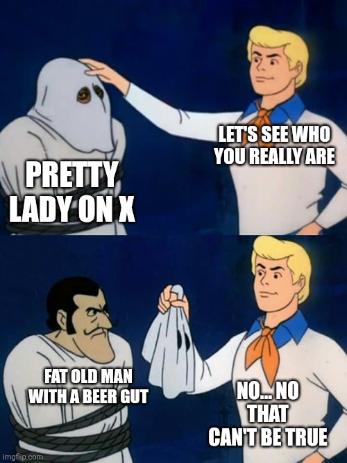 Scammed | LET'S SEE WHO YOU REALLY ARE; PRETTY LADY ON X; FAT OLD MAN WITH A BEER GUT; NO... NO THAT CAN'T BE TRUE | image tagged in scooby doo mask reveal | made w/ Imgflip meme maker