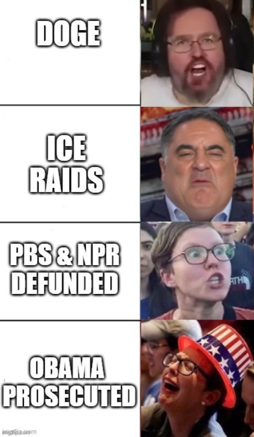 Obama prosecuted | image tagged in liberal,obama,ice,doge,pbs,npr | made w/ Imgflip meme maker