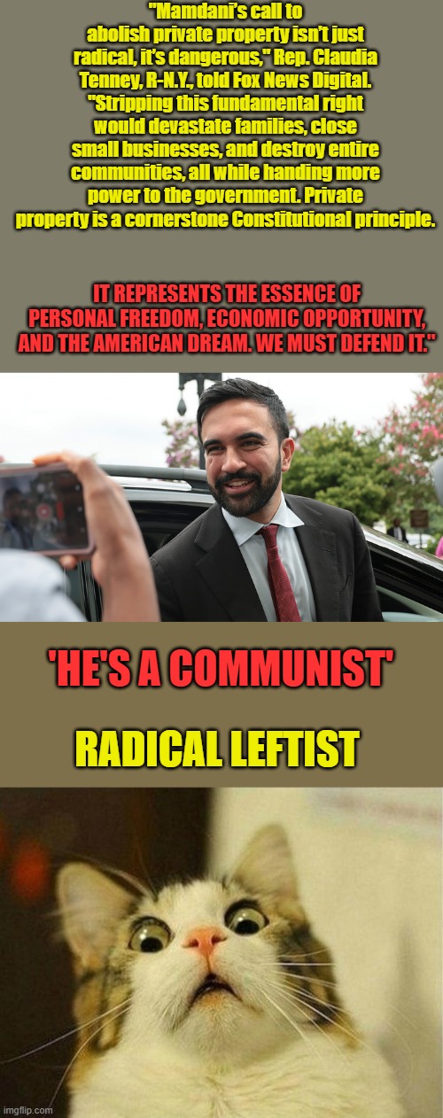 Communists immigrate into the US to destroy US from within. | "Mamdani’s call to abolish private property isn’t just radical, it’s dangerous," Rep. Claudia Tenney, R-N.Y., told Fox News Digital. "Stripping this fundamental right would devastate families, close small businesses, and destroy entire communities, all while handing more power to the government. Private property is a cornerstone Constitutional principle. IT REPRESENTS THE ESSENCE OF PERSONAL FREEDOM, ECONOMIC OPPORTUNITY, AND THE AMERICAN DREAM. WE MUST DEFEND IT."; 'HE'S A COMMUNIST'; RADICAL LEFTIST | image tagged in memes,scared cat | made w/ Imgflip meme maker