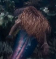 halle's back Blank Meme Template