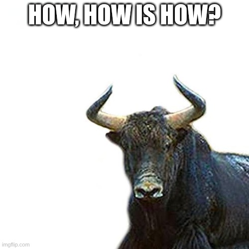 How, how is the how? | HOW, HOW IS HOW? | image tagged in yak,ask,how | made w/ Imgflip meme maker