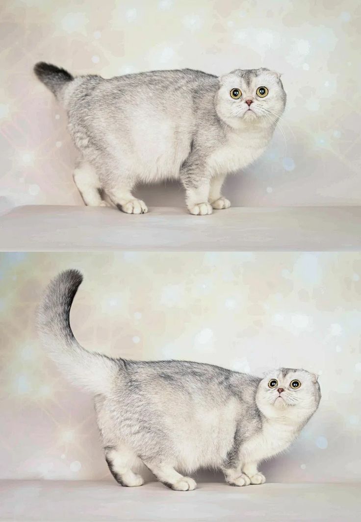 Keep to yourself Blank Meme Template