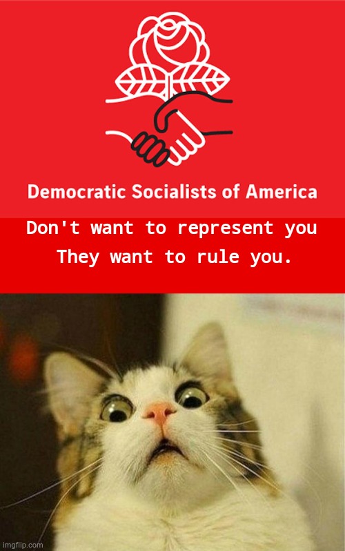 Any Opinions? | Don't want to represent you; They want to rule you. | image tagged in memes,scared cat,politics,socialism,ruler,disaster | made w/ Imgflip meme maker