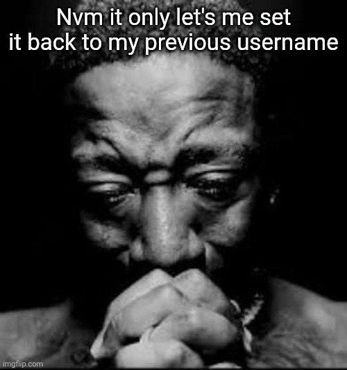 Pluh | Nvm it only let's me set it back to my previous username | image tagged in pluh | made w/ Imgflip meme maker