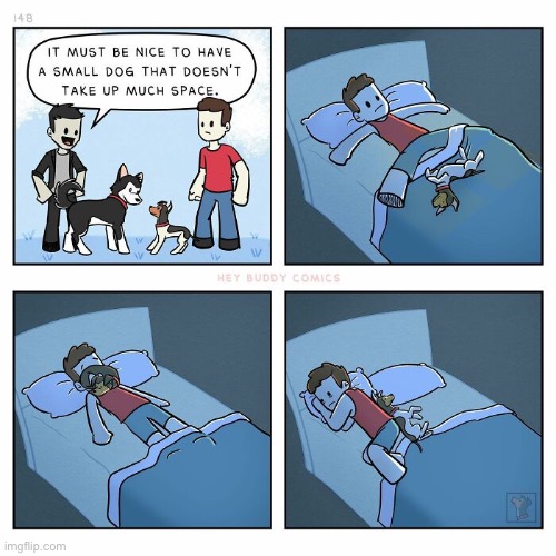 Hey Buddy | image tagged in comics,hey buddy,small dog | made w/ Imgflip meme maker
