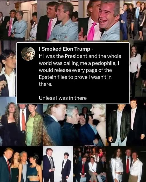 Trump Epstein pedophiles List coverup Elon Musk Blank Meme Template