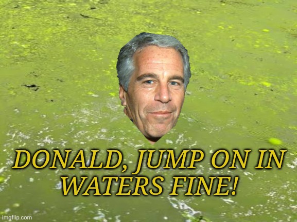 The ever expanding swamp of Jeffrey & Donald | DONALD, JUMP ON IN
WATERS FINE! | image tagged in donald trump,maga,jeffrey epstein,swamp | made w/ Imgflip meme maker
