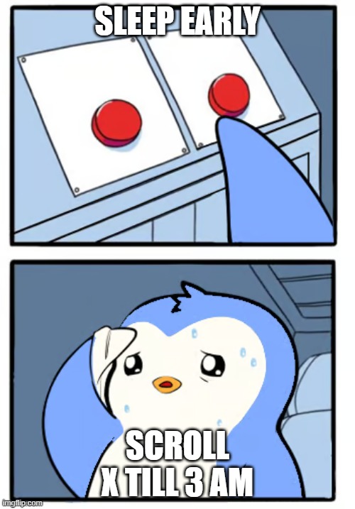 two buttons meme template | SLEEP EARLY; SCROLL X TILL 3 AM | image tagged in two buttons meme template | made w/ Imgflip meme maker