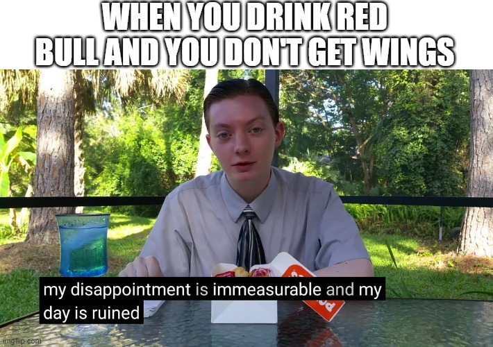 My Disappointment Is Immeasurable | WHEN YOU DRINK RED BULL AND YOU DON'T GET WINGS | image tagged in my disappointment is immeasurable,memes | made w/ Imgflip meme maker