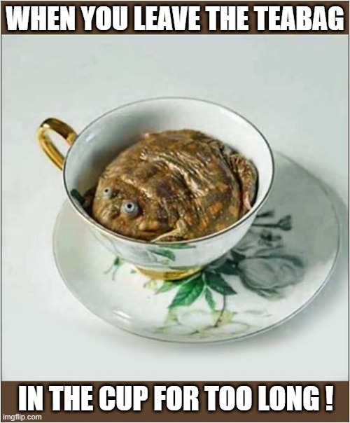 That's Not Going To Be A Nice Cup Of Tea ! | WHEN YOU LEAVE THE TEABAG; IN THE CUP FOR TOO LONG ! | image tagged in tea,toad,not nice | made w/ Imgflip meme maker