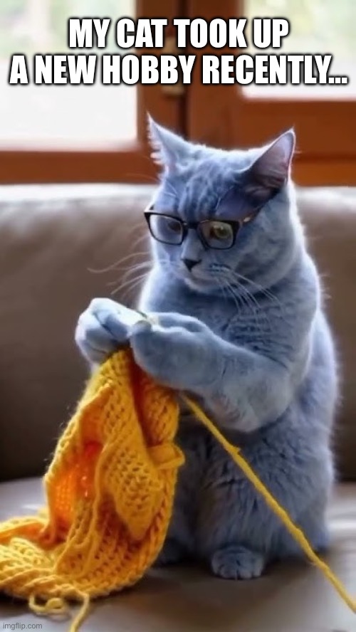 She’s knitting a new sweater for me… | MY CAT TOOK UP A NEW HOBBY RECENTLY… | image tagged in cats,new hobby,knitting | made w/ Imgflip meme maker