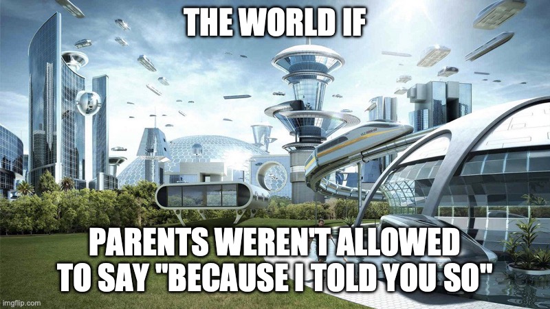 It's so frustrating | THE WORLD IF; PARENTS WEREN'T ALLOWED TO SAY "BECAUSE I TOLD YOU SO" | image tagged in the future world if | made w/ Imgflip meme maker