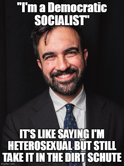 One, or the Other | "I'm a Democratic SOCIALIST"; IT'S LIKE SAYING I'M HETEROSEXUAL BUT STILL TAKE IT IN THE DIRT SCHUTE | image tagged in mamdani socialist meme | made w/ Imgflip meme maker