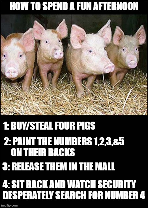 It's A Hobby | HOW TO SPEND A FUN AFTERNOON; 1: BUY/STEAL FOUR PIGS; 2: PAINT THE NUMBERS 1,2,3,&5
    ON THEIR BACKS; 3: RELEASE THEM IN THE MALL; 4: SIT BACK AND WATCH SECURITY DESPERATELY SEARCH FOR NUMBER 4 | image tagged in hobby,pigs,mall,dark humour | made w/ Imgflip meme maker