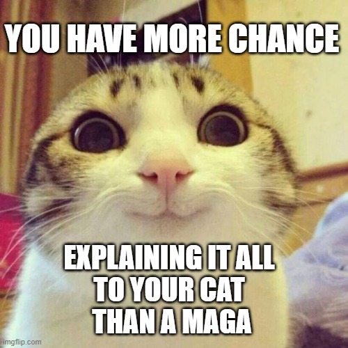 Explaining to your cat vs maga | YOU HAVE MORE CHANCE; EXPLAINING IT ALL 
TO YOUR CAT 
THAN A MAGA | image tagged in memes,smiling cat | made w/ Imgflip meme maker