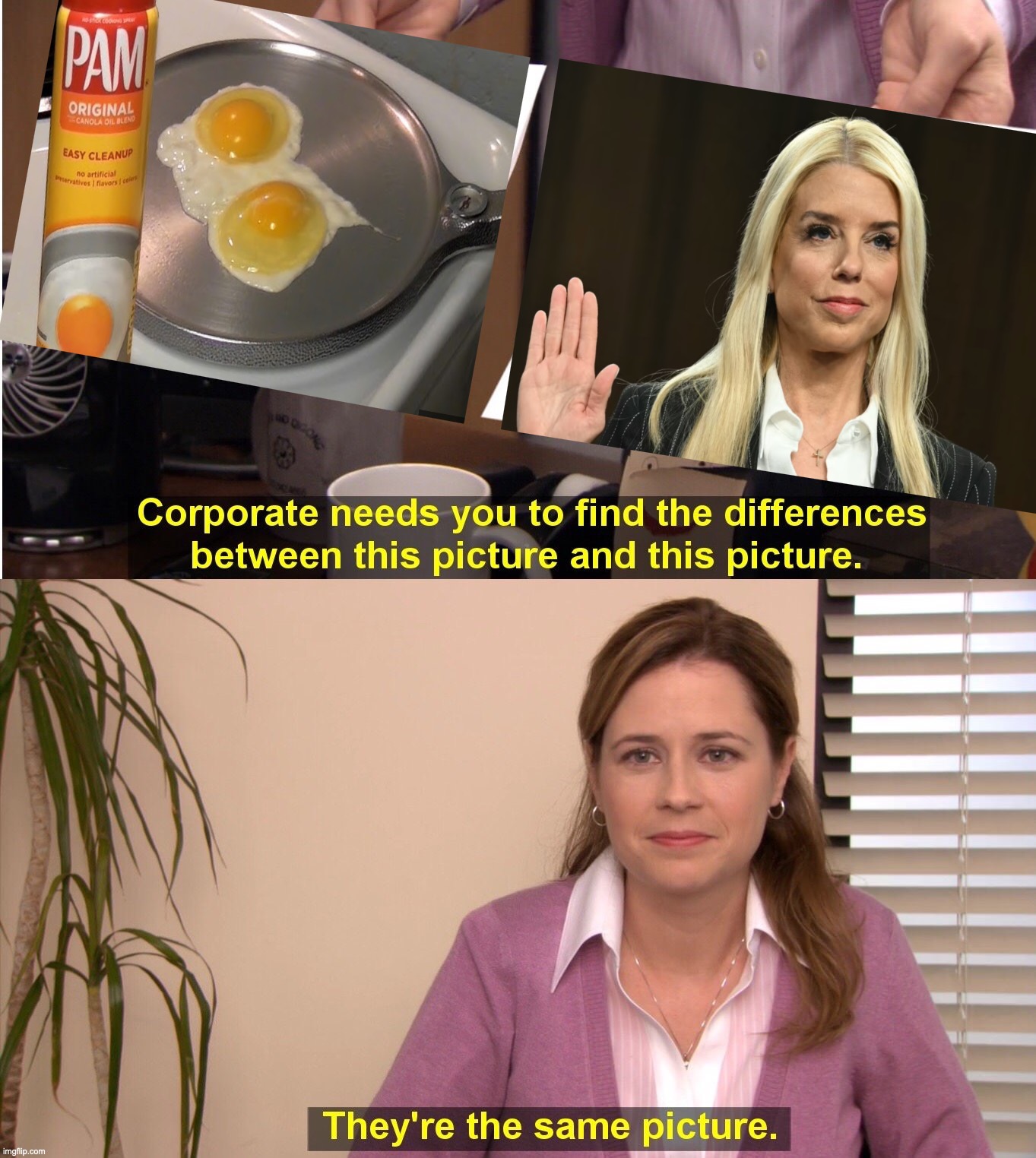 Non-Stick | image tagged in memes,they're the same picture | made w/ Imgflip meme maker