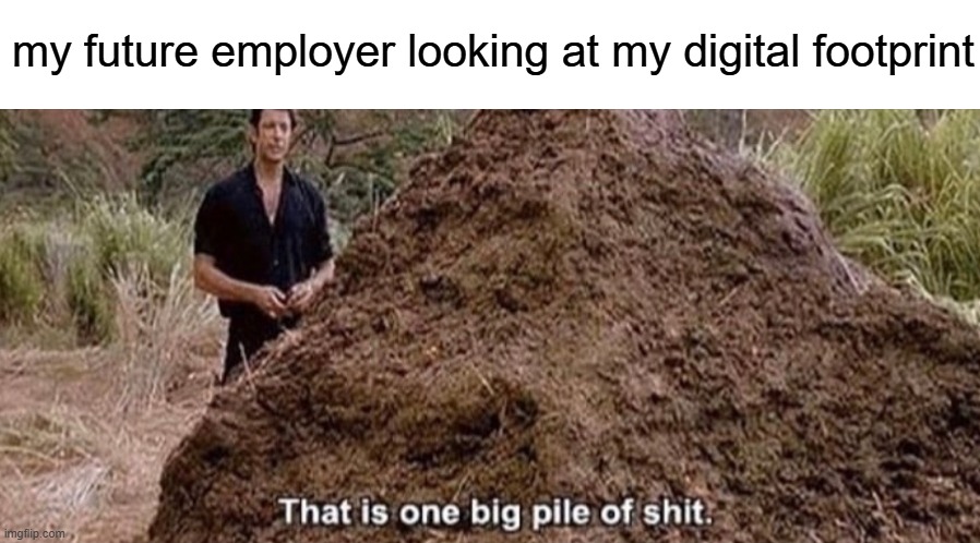 its all because of MSMG | my future employer looking at my digital footprint | image tagged in that is one big pile of shit | made w/ Imgflip meme maker
