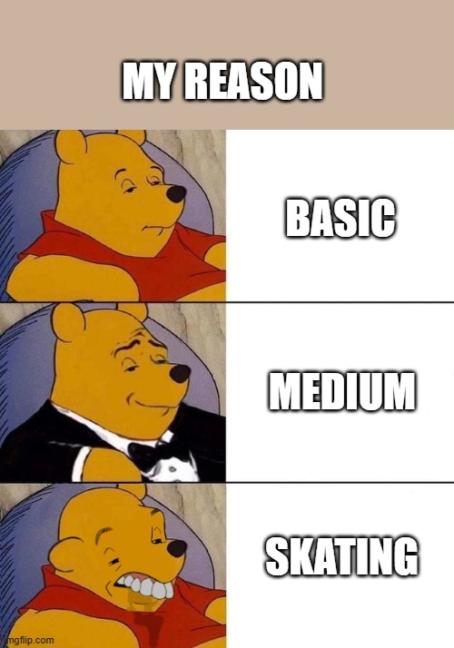 reason | MY REASON; BASIC; MEDIUM; SKATING | image tagged in best better blurst | made w/ Imgflip meme maker