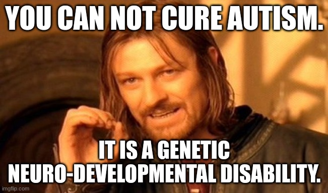 You can not cure autism | YOU CAN NOT CURE AUTISM. IT IS A GENETIC NEURO-DEVELOPMENTAL DISABILITY. | image tagged in memes,one does not simply | made w/ Imgflip meme maker