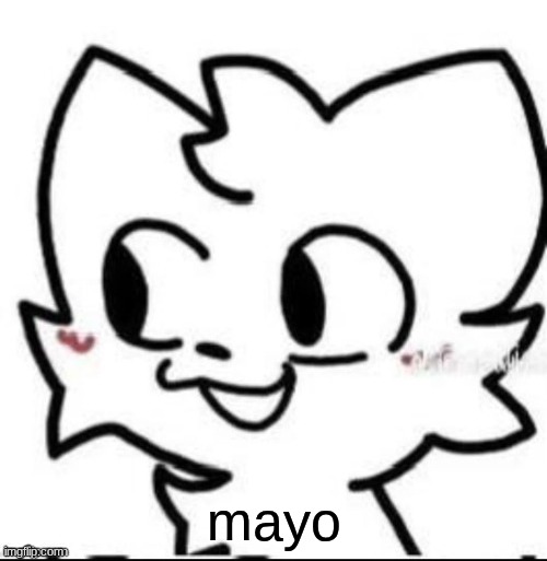 boykisser | mayo | image tagged in boykisser | made w/ Imgflip meme maker