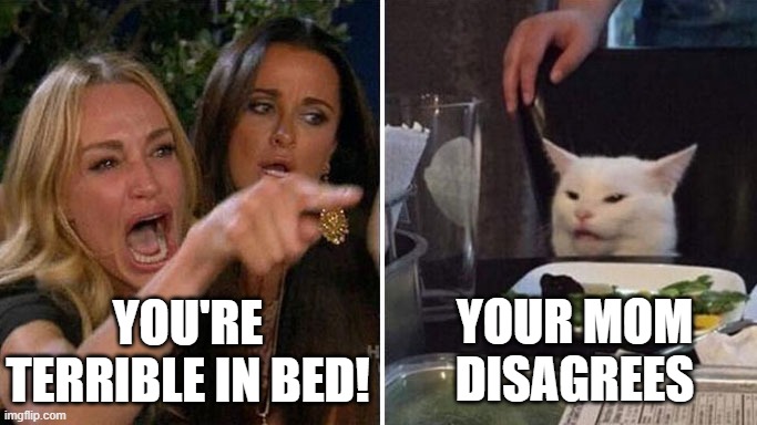 Angry lady cat | YOU'RE TERRIBLE IN BED! YOUR MOM DISAGREES | image tagged in angry lady cat | made w/ Imgflip meme maker