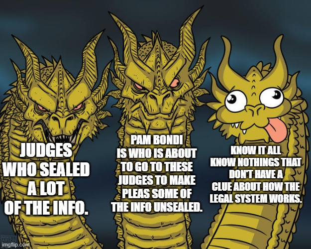 Three-headed Dragon | JUDGES WHO SEALED A LOT OF THE INFO. PAM BONDI IS WHO IS ABOUT TO GO TO THESE JUDGES TO MAKE PLEAS SOME OF THE INFO UNSEALED. KNOW IT ALL KN | image tagged in three-headed dragon | made w/ Imgflip meme maker