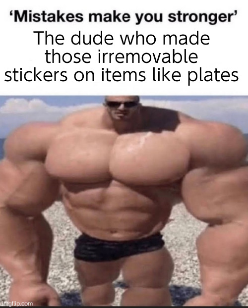 mistakes make you stronger | The dude who made those irremovable stickers on items like plates | image tagged in mistakes make you stronger | made w/ Imgflip meme maker