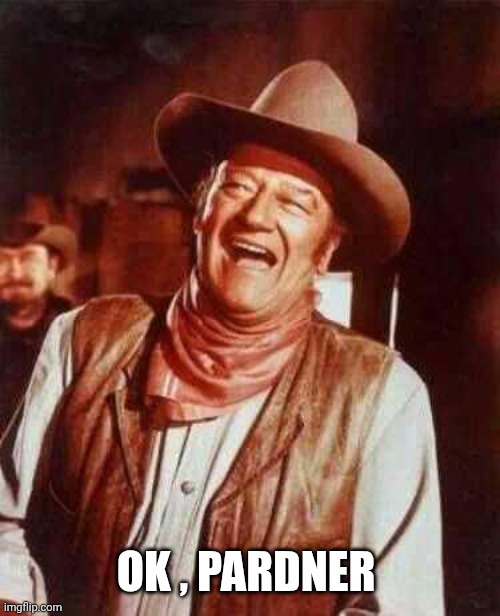 laughing | OK , PARDNER | image tagged in laughing | made w/ Imgflip meme maker