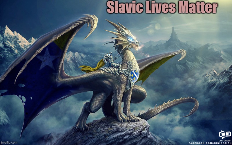 Bosnian Dragon | Slavic Lives Matter | image tagged in bosnian dragon,slavic lives matter,slm | made w/ Imgflip meme maker
