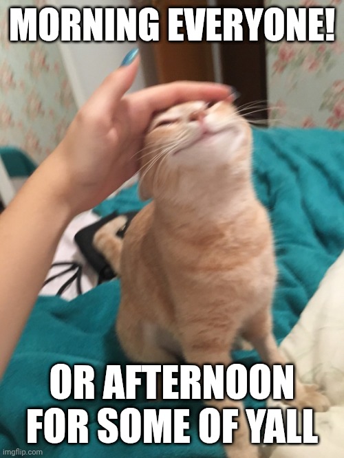 Or evening for some others | MORNING EVERYONE! OR AFTERNOON FOR SOME OF YALL | image tagged in cat pat | made w/ Imgflip meme maker
