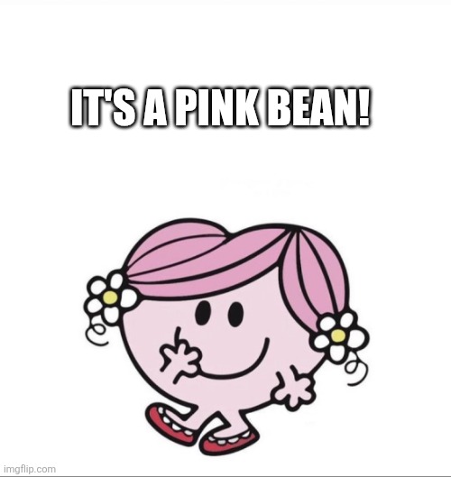 Yeah no not really that's little miss hug | IT'S A PINK BEAN! | image tagged in little miss,pink,bean,cute,hugs,oh wow are you actually reading these tags | made w/ Imgflip meme maker