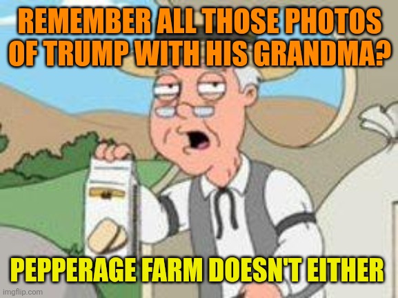 Pepperage farms remembers | REMEMBER ALL THOSE PHOTOS OF TRUMP WITH HIS GRANDMA? PEPPERAGE FARM DOESN'T EITHER | image tagged in pepperage farms remembers | made w/ Imgflip meme maker