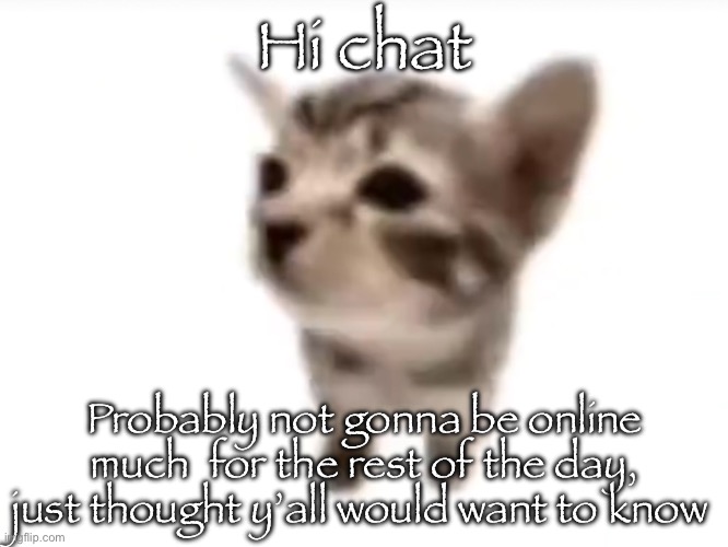 My phone didnt charge last night so I can’t be on much | Hi chat; Probably not gonna be online much  for the rest of the day, just thought y’all would want to know | image tagged in el gatito | made w/ Imgflip meme maker
