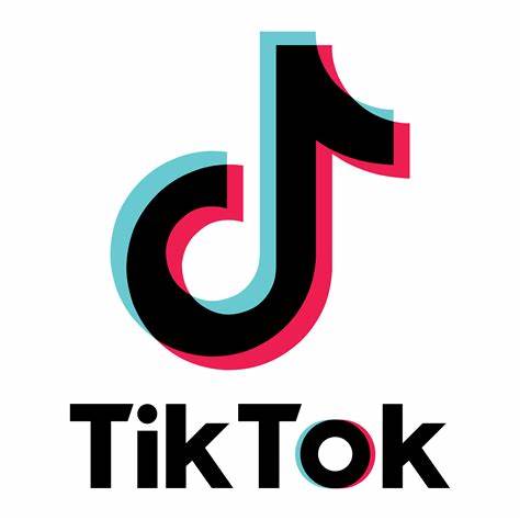 High Quality tiktok (dumb app) Blank Meme Template
