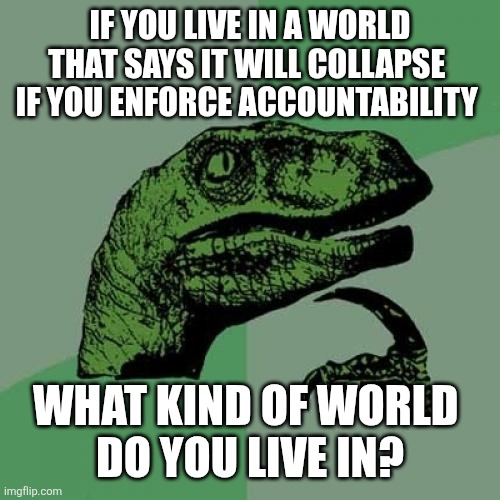 Philosoraptor | IF YOU LIVE IN A WORLD THAT SAYS IT WILL COLLAPSE 
IF YOU ENFORCE ACCOUNTABILITY; WHAT KIND OF WORLD 
DO YOU LIVE IN? | image tagged in memes,philosoraptor | made w/ Imgflip meme maker