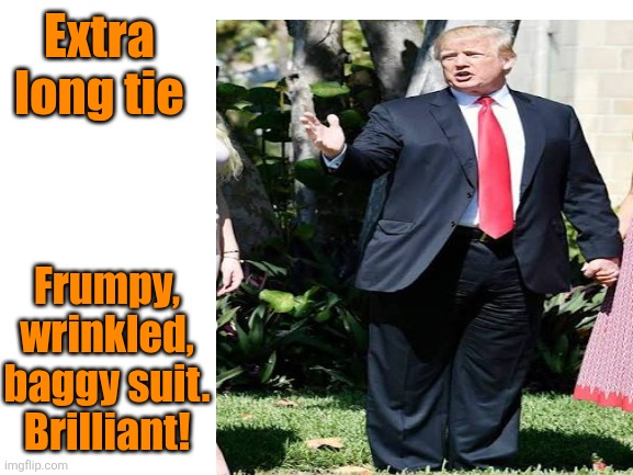 Blank White Template | Extra long tie Frumpy, wrinkled, baggy suit.
Brilliant! | image tagged in blank white template | made w/ Imgflip meme maker