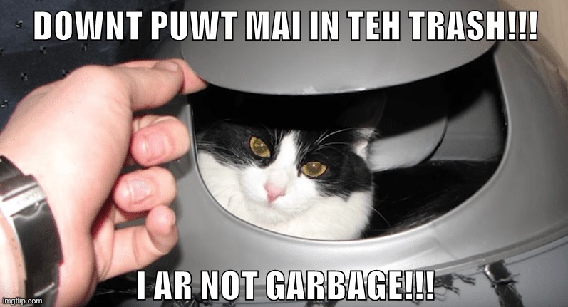 Trashed | image tagged in cats,funny cats,into the trash it goes,garbage,bad grammar and spelling memes,i am not garbage | made w/ Imgflip meme maker