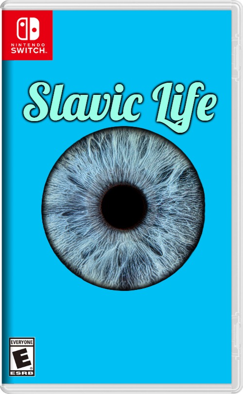 Nintendo Switch | Slavic Life | image tagged in nintendo switch,slavic life | made w/ Imgflip meme maker