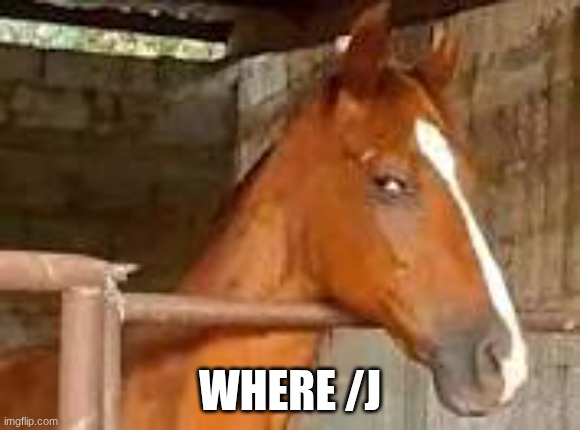 Horse Side Eye | WHERE /J | image tagged in horse side eye | made w/ Imgflip meme maker
