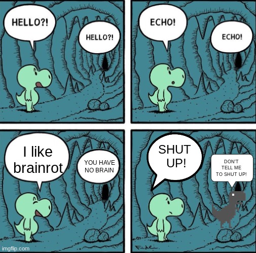 It was the chrome dino | I like brainrot; SHUT 
UP! YOU HAVE NO BRAIN; DON'T TELL ME TO SHUT UP! | image tagged in echo | made w/ Imgflip meme maker