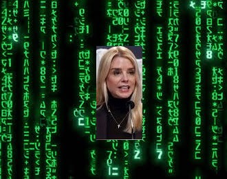 pam matrix Blank Meme Template